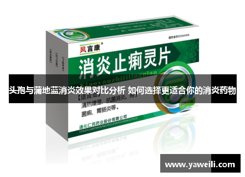 头孢与蒲地蓝消炎效果对比分析 如何选择更适合你的消炎药物